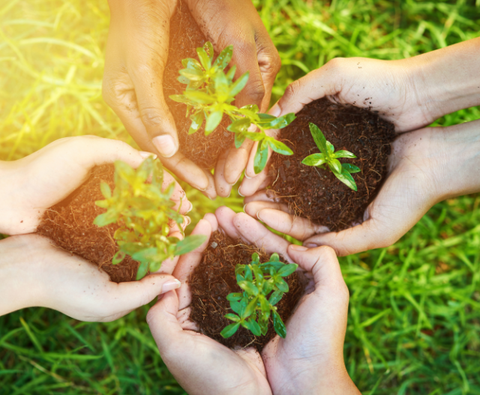 A Greener Revolution in Pet Waste Management