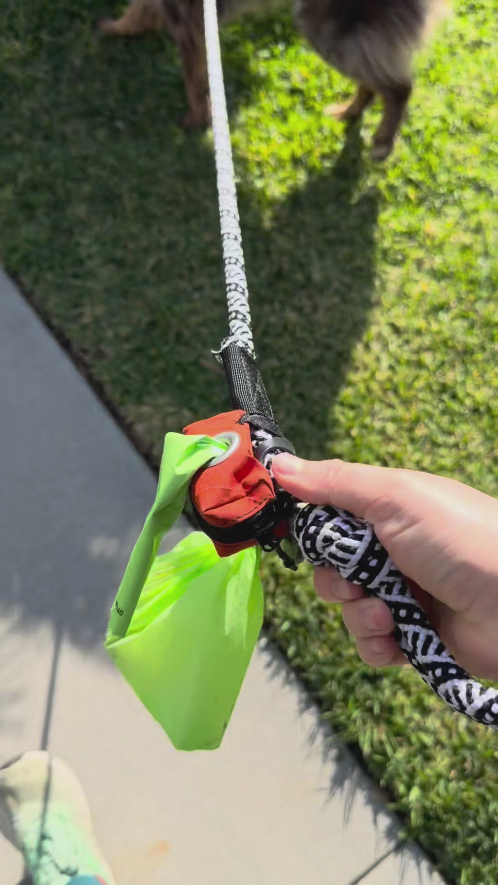 100% Compostable Dog Poop Bags - Lime (3 Rolls)