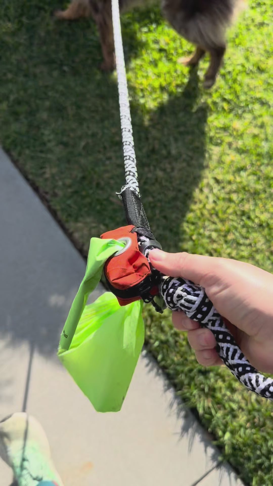 100% Compostable Dog Poop Bags - Lime (3 Rolls)